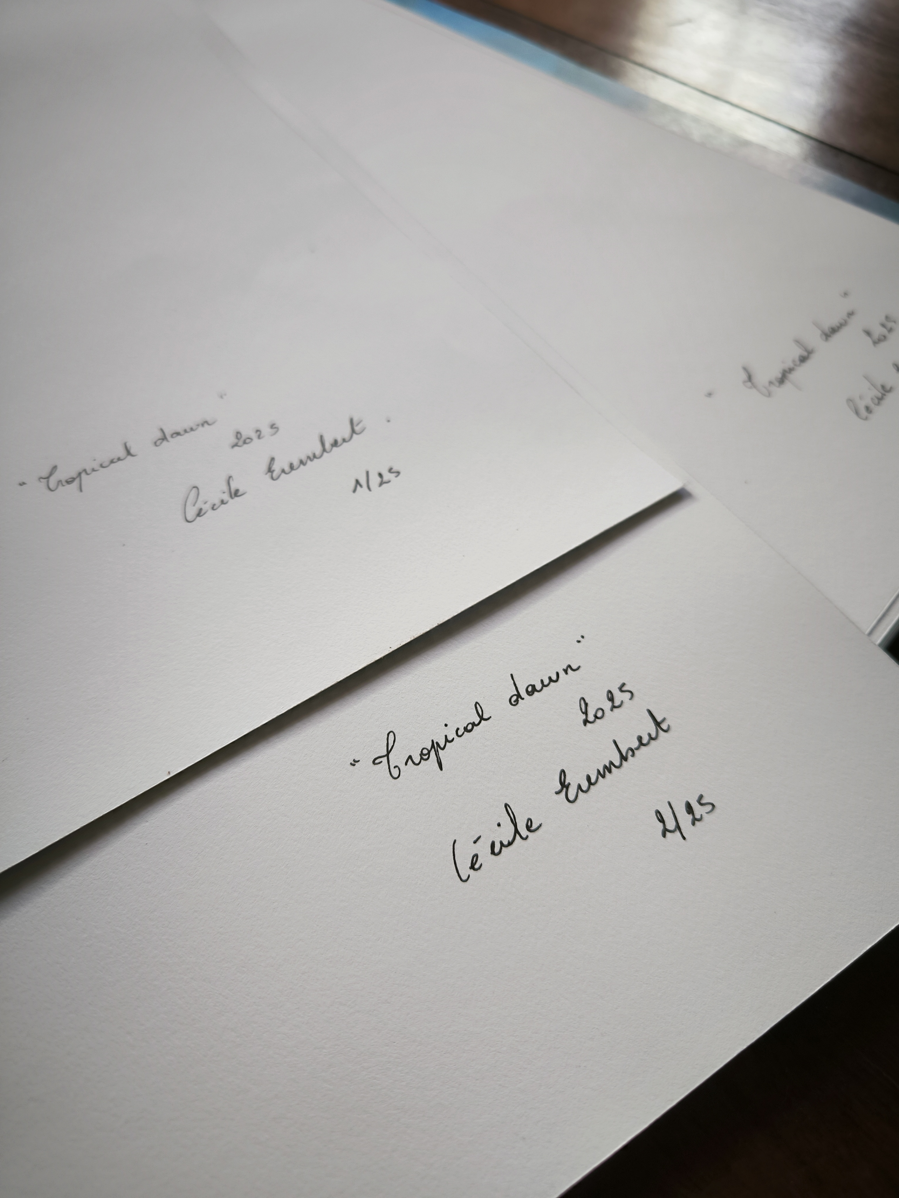 Blue heaven print - Image 8